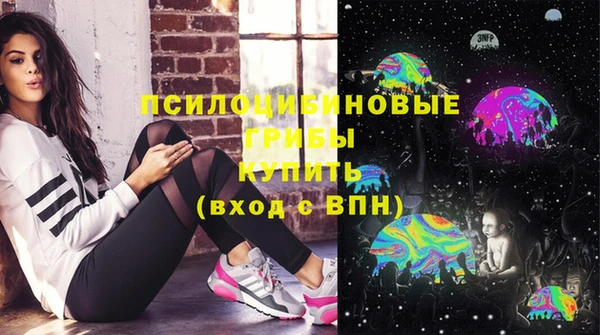 не бодяженный Арсеньев