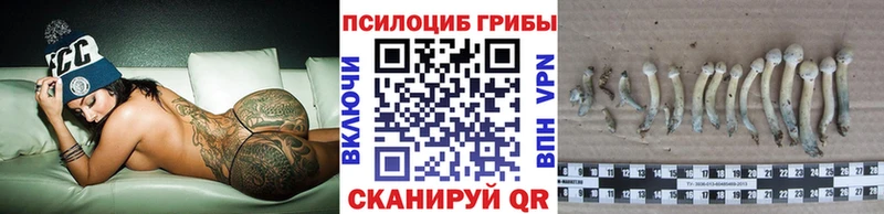 наркота  Ясный  Галлюциногенные грибы ЛСД 
